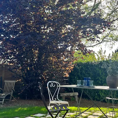 Maison D'architecte Renovee Avec Jardin- *